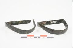 Foto von Bronzeschaukelfußreif (NHMW-PRAE-026220)